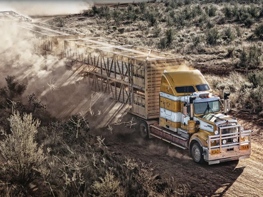  Kenworth C509 1992 года  (фото 2 из 2)